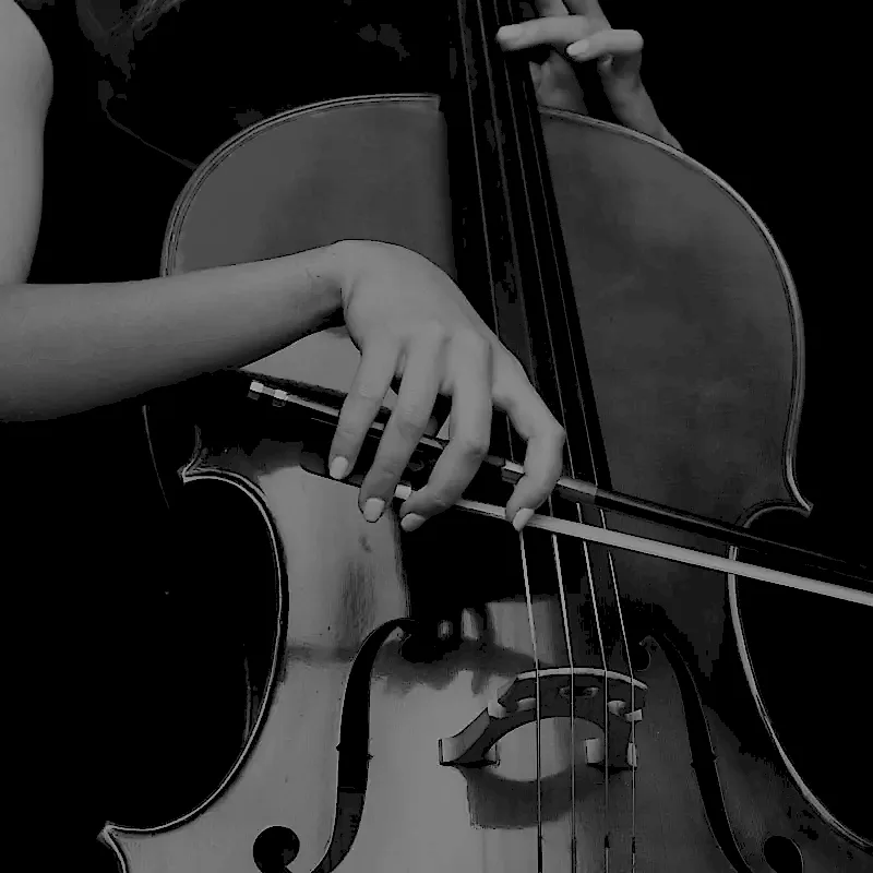 https://griquenon.com/wp-content/uploads/2022/03/cello_background.webp